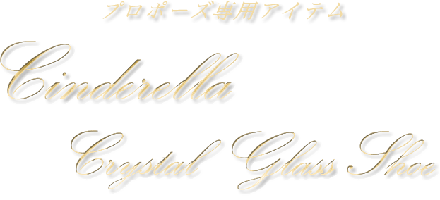 Cinderella Crystal Glass Shoses プロポーズ専用アイテム