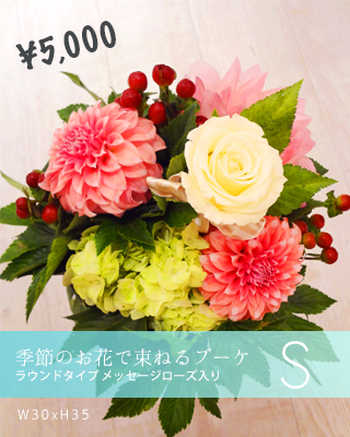 S(W30xH35) ¥5,250